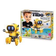 Buki robots Tibo