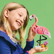 LEGO Creator Savvaļas dzīvnieki: Rozā flamingo