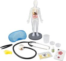 Buki Human Body