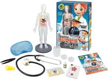 Buki Human Body