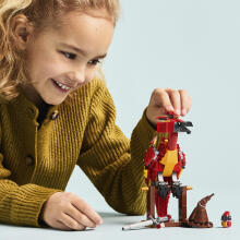 LEGO Harry Potter Фоукс™: Феникс Дамблдора