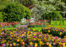 Ravensburger Puzzle 1000 Pieces: Keukenhof Gardens