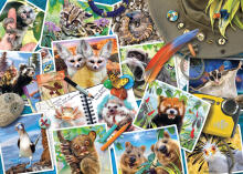 Ravensburger puzle 1000 gab. Ceļotāja foto albums