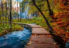 Ravensburger Puzzle 1000 Pieces: Autumnal Wooden Trail In Croatia