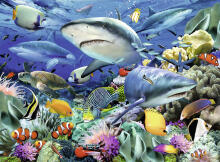 Ravensburger Puzzle 100 pc Reef of the Sharks