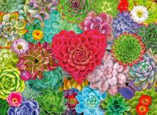 Пазл Ravensburger 500 деталей: Суккулентная любовь