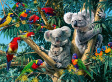 Ravensburger Puzzle 500 pc Koalas on a Tree