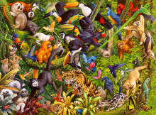 Ravensburger Puzzle 200 pc Tropical Rainforest