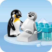 LEGO DUPLO Savvaļas dzīvnieku ģimenes: Pingvīni un lauvas