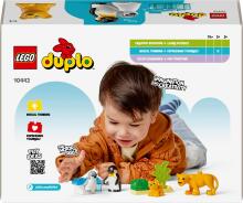 LEGO DUPLO Savvaļas dzīvnieku ģimenes: Pingvīni un lauvas
