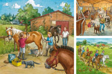 Ravensburger Puzzle 3x49 pc A Day with Horses Puzzle