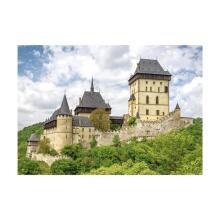 Dino Puzzle 500 pc Charles Castle