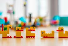 LEGO Serious Play Duck Kit