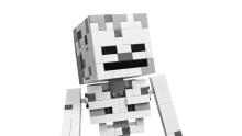 LEGO Minecraft The Skeleton