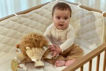Little Dutch Activity Cuddle Lion Safari Friends GRS Art.8321