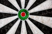Gamesson Dartboard: Tournament Edition