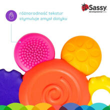 Flower Rattle Teether, Sassy