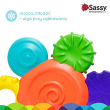 Flower Rattle Teether, Sassy
