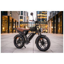 Elektriskais velosipēds APE RYDER Genon Ultra Black