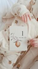 La bebe™ 12 Baby Monthly Cards Art. 37776, Perfect Gift for Newborn Photo Sessions