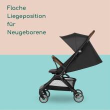 Bebeconfort Zephir Compact Art.72722 Mineral Grey Bērnu pastaigu rati/ratiņi