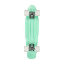 Playlife Penny Board Art.880319 Mint  Bērnu skrituļdēlis