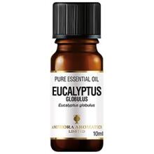 Eucalyptus Oil Art.91543 Ēteriskā eļļa (evkalīpts), 10 ml
