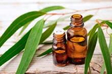 Eucalyptus Oil Art.91543 Ēteriskā eļļa (evkalīpts), 10 ml
