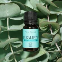 Eucalyptus Oil Art.91543 Ēteriskā eļļa (evkalīpts), 10 ml