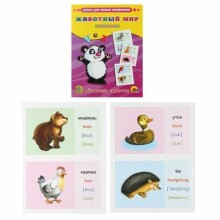 Vaikų knyga, 99736 gyvūnų pasaulis anglų kalba. 16 studijų kortelių